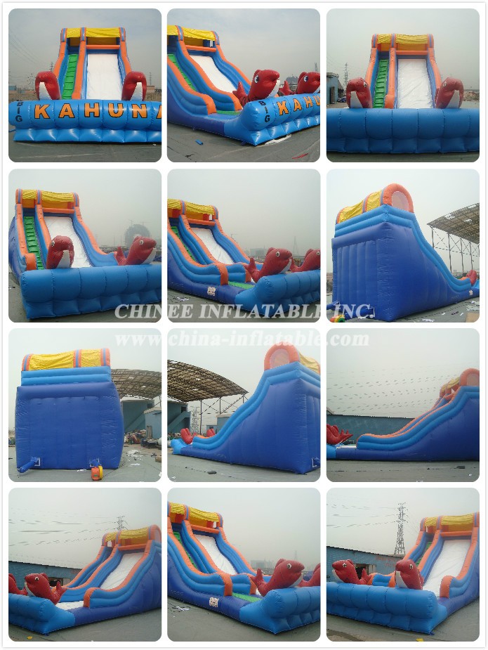 3245 - Chinee Inflatable Inc.