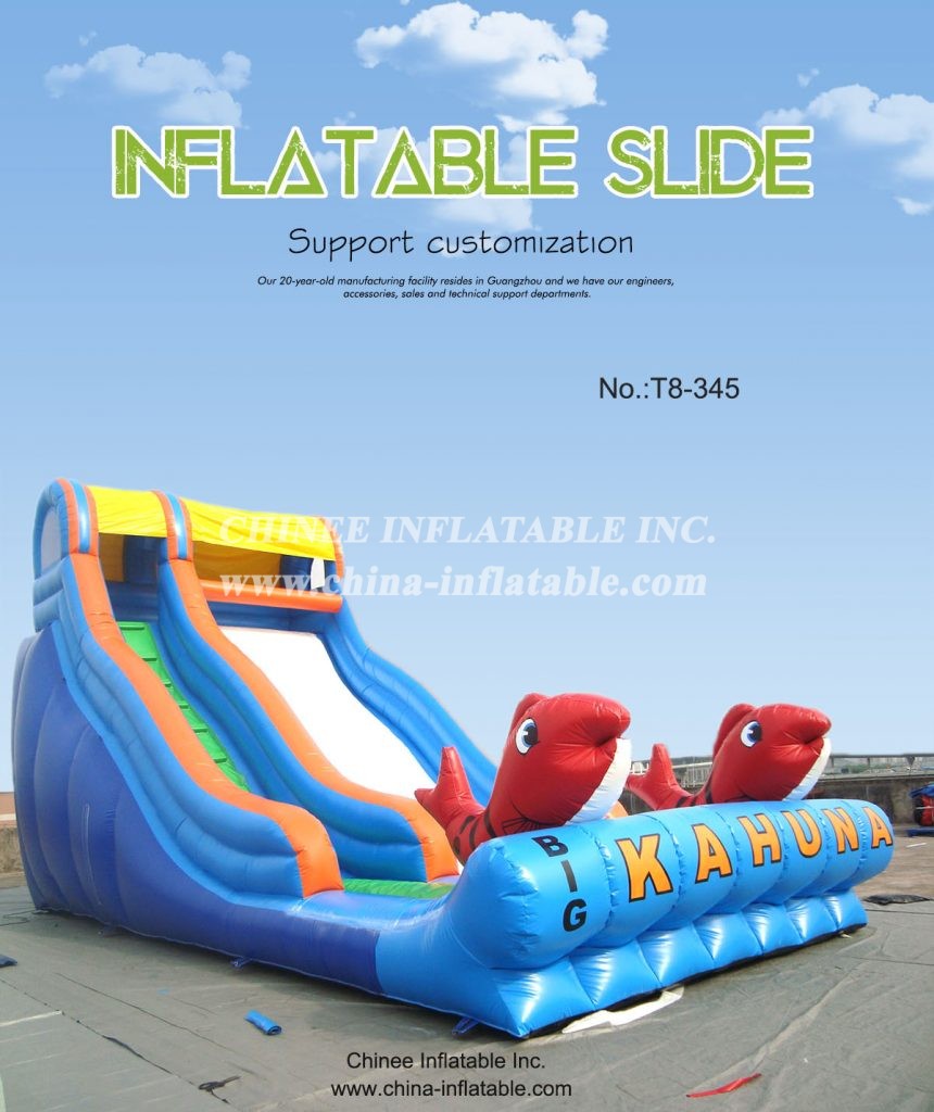 T8-345 - Chinee Inflatable Inc.